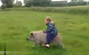 People Riding Animals