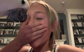 Parrot Pulls Out Girl's Tooth