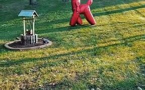 Man Finds Wife Walking Around Front Yard.. - Fun - VIDEOTIME.COM