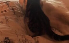 Brave Kitten Hugs Dog's Face While Sleeping On Bed