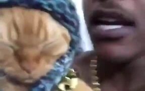 Funny Red Cat - Animals - VIDEOTIME.COM