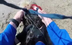 Rescued A Fur Seal - Animals - VIDEOTIME.COM