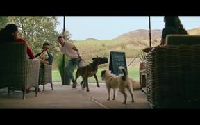 Dog Valentine's Day Trailer - Movie trailer - VIDEOTIME.COM