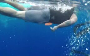 Unexpected Diving