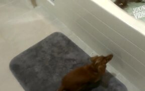 Bathroom Hi-Jinks - Fun - VIDEOTIME.COM