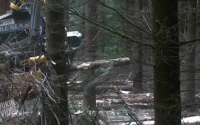 Incredible Tree Cutting Machine - Tech - VIDEOTIME.COM