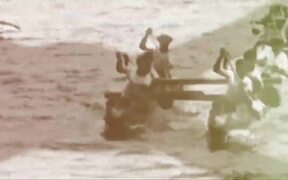Waterman Trailer - Movie trailer - VIDEOTIME.COM