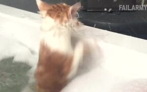 Funny Cat Fails Compilation - Animals - VIDEOTIME.COM