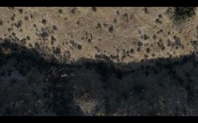 The Aviary Official Trailer - Movie trailer - VIDEOTIME.COM