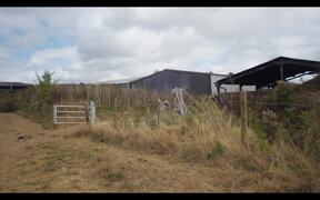 Cow Official Trailer - Movie trailer - VIDEOTIME.COM