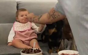 Dad Feeds Baby and Dogs