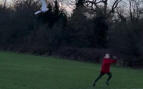 Kid Flies Bird Shaped Kite in Playground - Kids - VIDEOTIME.COM