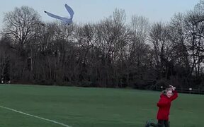 Kid Flies Bird Shaped Kite in Playground