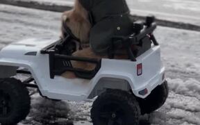 Golden Retriever Drives His Toy Jeep on Icy Road