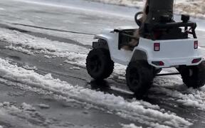 Golden Retriever Drives His Toy Jeep on Icy Road - Animals - VIDEOTIME.COM
