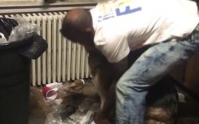 Man Makes Dogs Pickup Trash - Animals - VIDEOTIME.COM