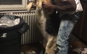 Man Makes Dogs Pickup Trash