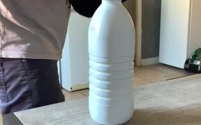 Bottle Cap with Cat - Animals - VIDEOTIME.COM