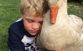 Boy Bonds With His Goose - Animals - VIDEOTIME.COM