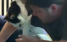 Lending Helping Hands to Blind Cat
