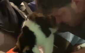Lending Helping Hands to Blind Cat