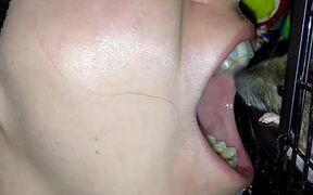Pet Rat Cleans Owners Teeth - Animals - VIDEOTIME.COM