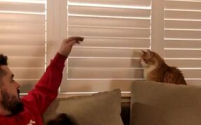 Cat Shows Dominance Over Dad - Animals - VIDEOTIME.COM