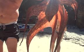 Octopus Suctions Man - Animals - VIDEOTIME.COM