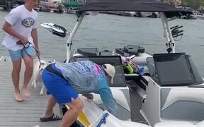 Raccoon Stows Away on Boat - Animals - VIDEOTIME.COM
