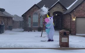 Unicorn Spotted Shoveling Snow - Fun - VIDEOTIME.COM