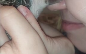 Little Hedgehog - Animals - VIDEOTIME.COM