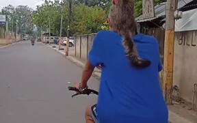 Cat Goes for Ride on Biking Human's Shoulders - Animals - VIDEOTIME.COM