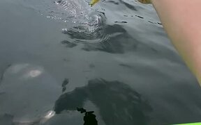Loon Takes Fish Out of Kayaker's Hand - Animals - VIDEOTIME.COM