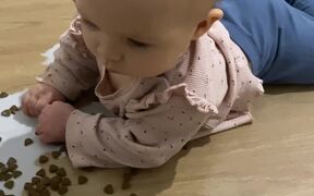 Baby Finds Cat's Food Bowl