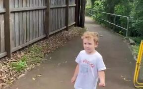 Puppy Gets a Ride in Child's Stroller - Animals - VIDEOTIME.COM