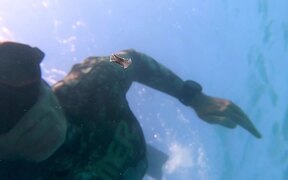 Free Diver Doing Training Finds Tiny Animal