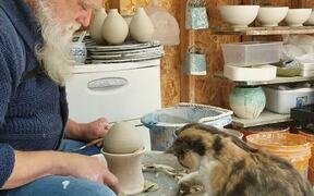 Cat Plays With Pottery Wheel