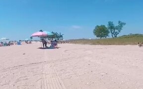 Geese Take Over Beach to Go for a Swim - Animals - VIDEOTIME.COM