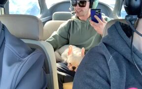 Dog Experiences Zero Gravity Flight