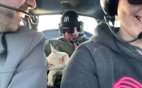 Dog Experiences Zero Gravity Flight