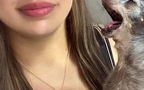 Toothless Dog Bites Girl's Cheek