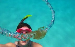 Jellyfish Rolled by Bubble Ring - Animals - VIDEOTIME.COM