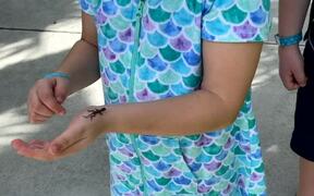 Lizard Jumps Up Girl's Arm and Scares Her