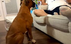 Grandpa Teaches Cain to Say I Love You - Animals - VIDEOTIME.COM