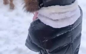 Pup Takes Little Tyke Down Snowy Slope