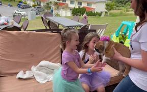 9-Year-Old Daughter's Birthday Surprise - Animals - VIDEOTIME.COM