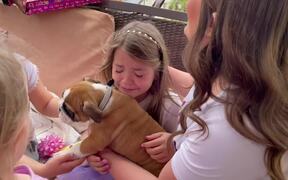 9-Year-Old Daughter's Birthday Surprise - Animals - VIDEOTIME.COM