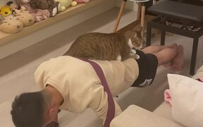 Cat Helps Its Owner with Push-Ups - Animals - VIDEOTIME.COM