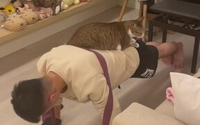 Cat Helps Its Owner with Push-Ups