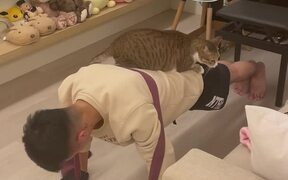 Cat Helps Its Owner with Push-Ups - Animals - VIDEOTIME.COM